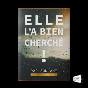 Photographie d'un livre avec le titre factice "Elle l'a bien cherché!" par l'auteur "Son ami", collection "Violences". L'illustration de la couverture est une vitre mouillée sur un paysage sont on devine les contours, vue de l'intérieur.
