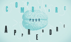 Illustration turquoise d'une cerveau. Superposé sur l'illustration, il est écrit « Comprendre pour apprendre ».