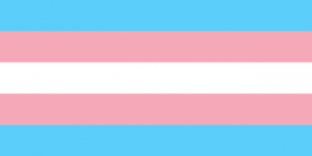drapeau transgenre