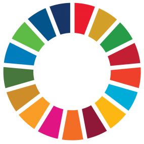 Logo des Objectifs de développement durable (ODD).