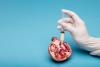 Photographie représentant l'insémination artificielle : une main gantée tient une seringue remplie d'un liquide blanchâtre au-dessus d'une pomme grenade coupée en deux.