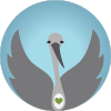 Illustration d'une cigogne.